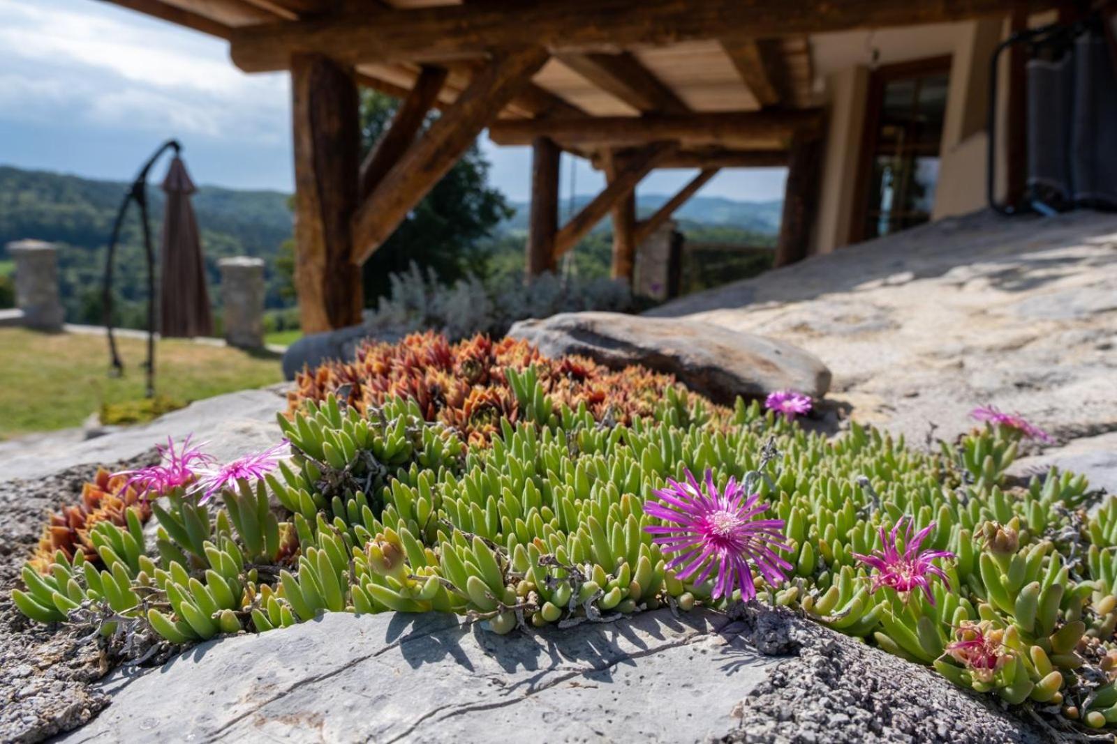 Zerko Holiday Home - Vineyard Chalet With Sauna And Jacuzzi Free Mirna Exterior foto